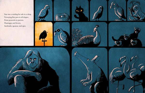 邦楽 TOUCH STORY 1 Star and the Maestro: How a Musical Bird Made Melodies with Mozart