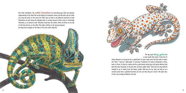 Lizards at Large: 21 Remarkable Reptiles at their Actual Size