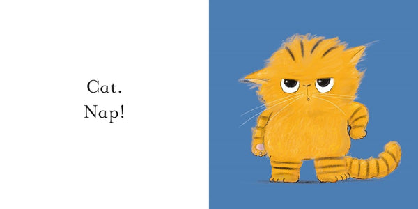 Cat Nap – Books of Wonder