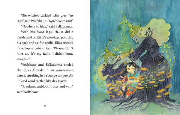 Fairy Door Diaries: Eliza and the Flower Fairies – Books of Wonder