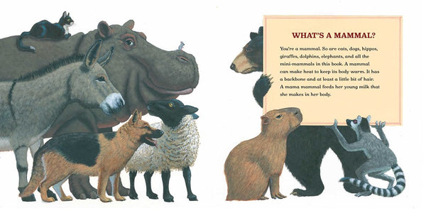 Meet the Mini-Mammals : A Night at the Natural History Museum