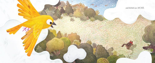 They All Saw a Cat – Books of Wonder