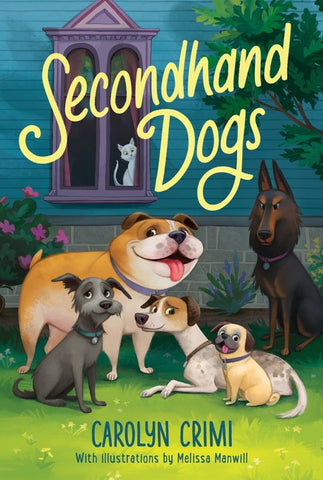 Secondhand Dogs (Sale)