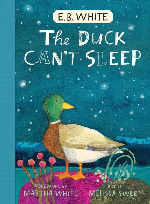 Cover of Duck Can't Sleep