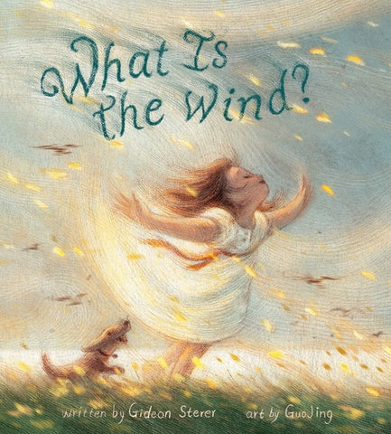 Cover of What Is the Wind?
