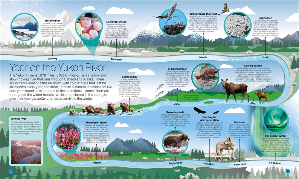 Timelines of Nature: From Mountains and Glaciers to Mayflies and Marsupials