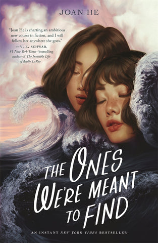 Ones We're Meant to Find (Paperback)