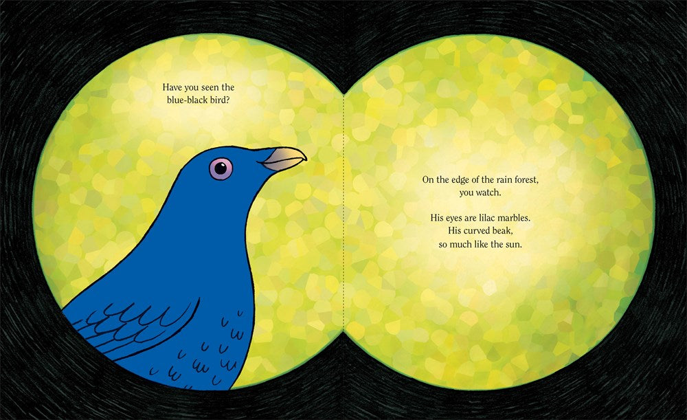 You and the Bowerbird