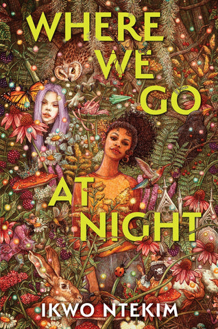 Cover of Where We Go at Night