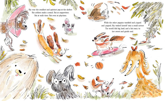 Interior of Shy: A Picture Book
