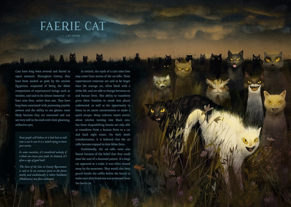 The Faerie Isle: Tales and Traditions of Ireland's Forgotten Folklore – Books of Wonder