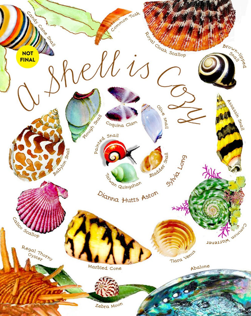 A Shell Is Cozy – Books of Wonder