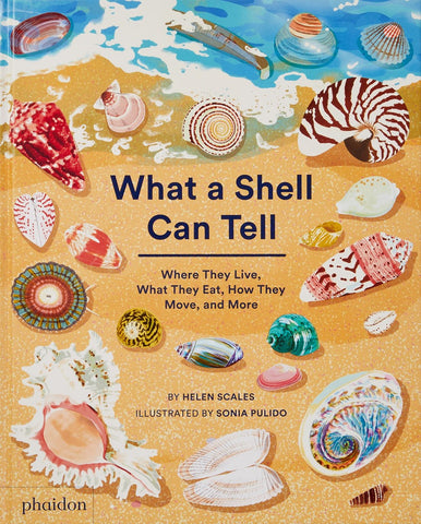 What A Shell Can Tell: Phaidon Press