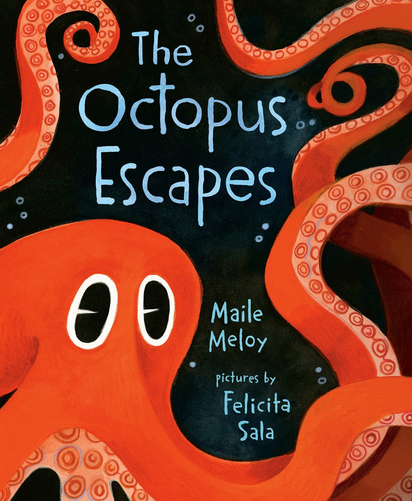 Octopus Escapes (Board Book)