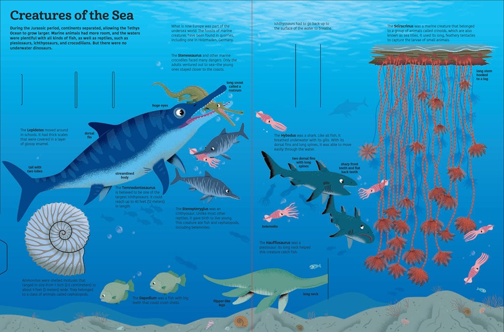 The Ultimate Books of Dinosaurs and Other Prehistoric Creatures – Books ...