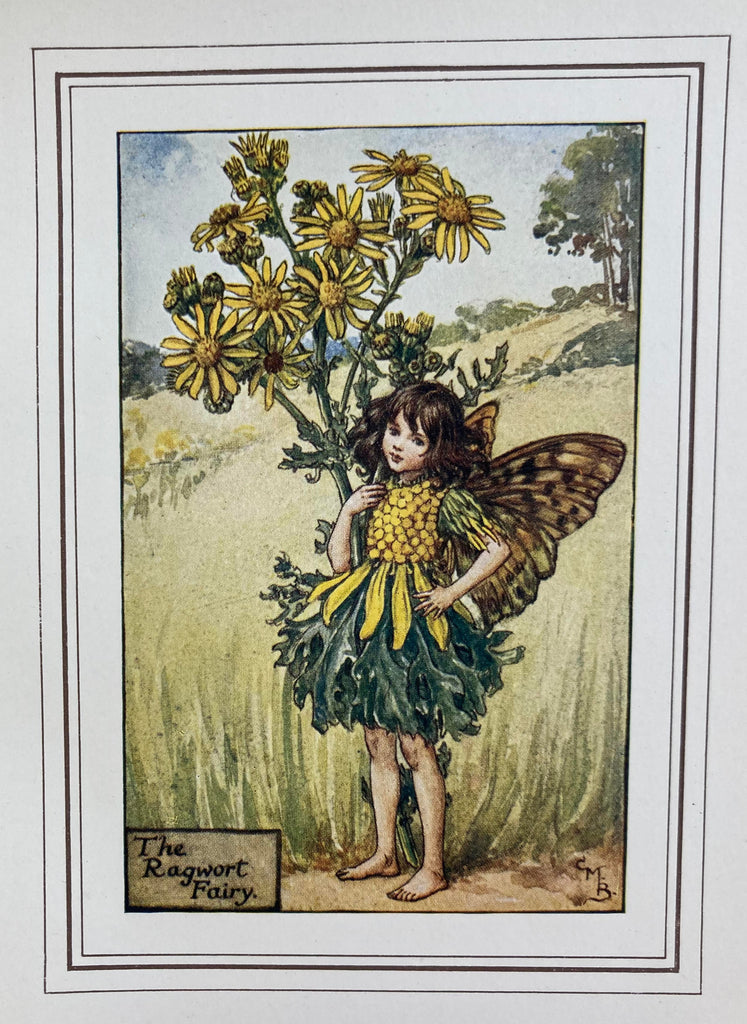 Book of the Flower Fairies