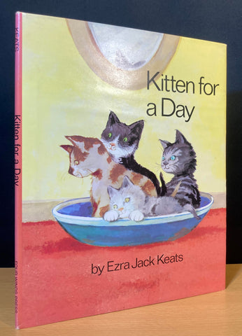 Kitten for a Day