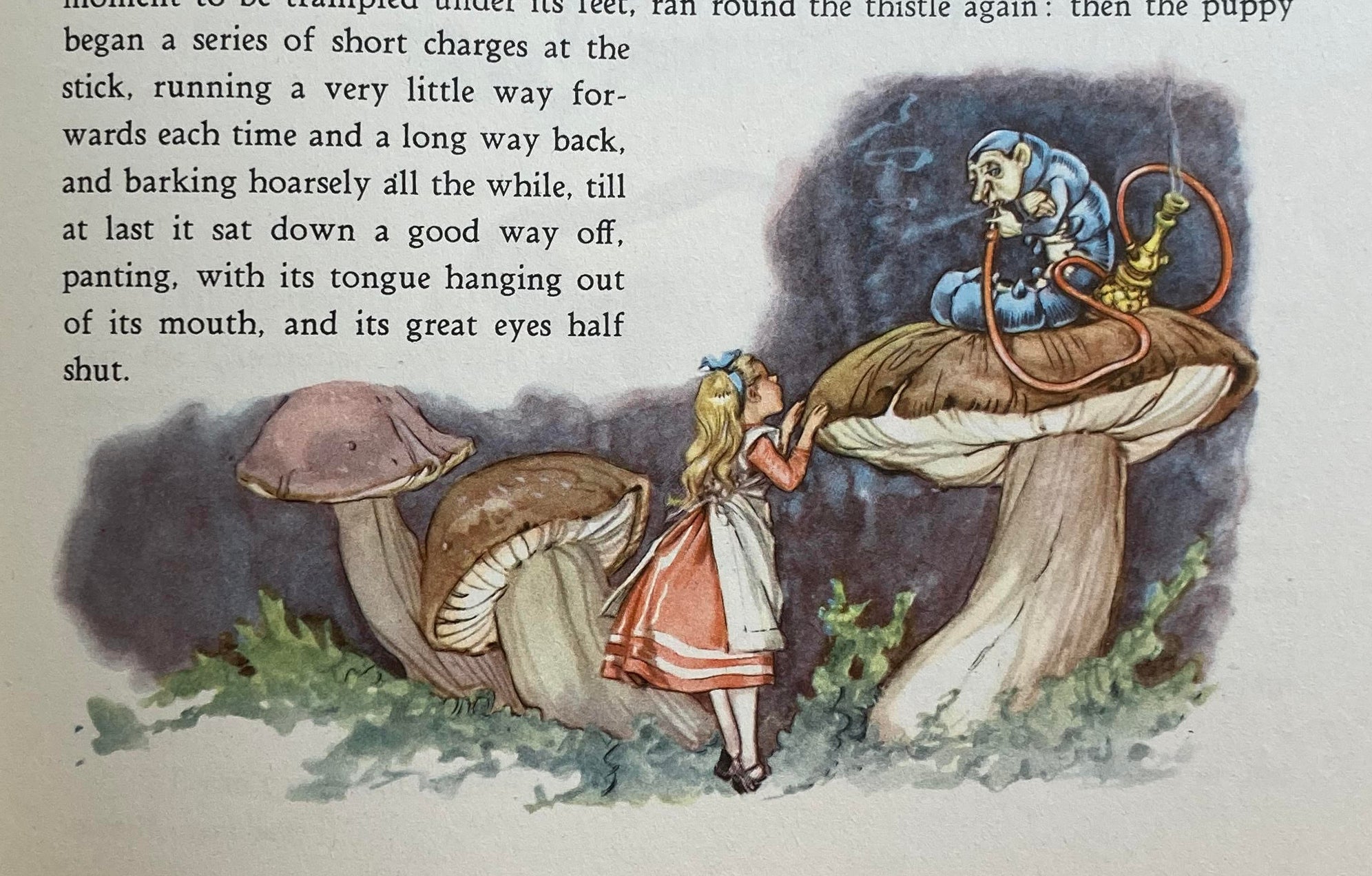Alice's Adventures in Wonderland – Books of Wonder