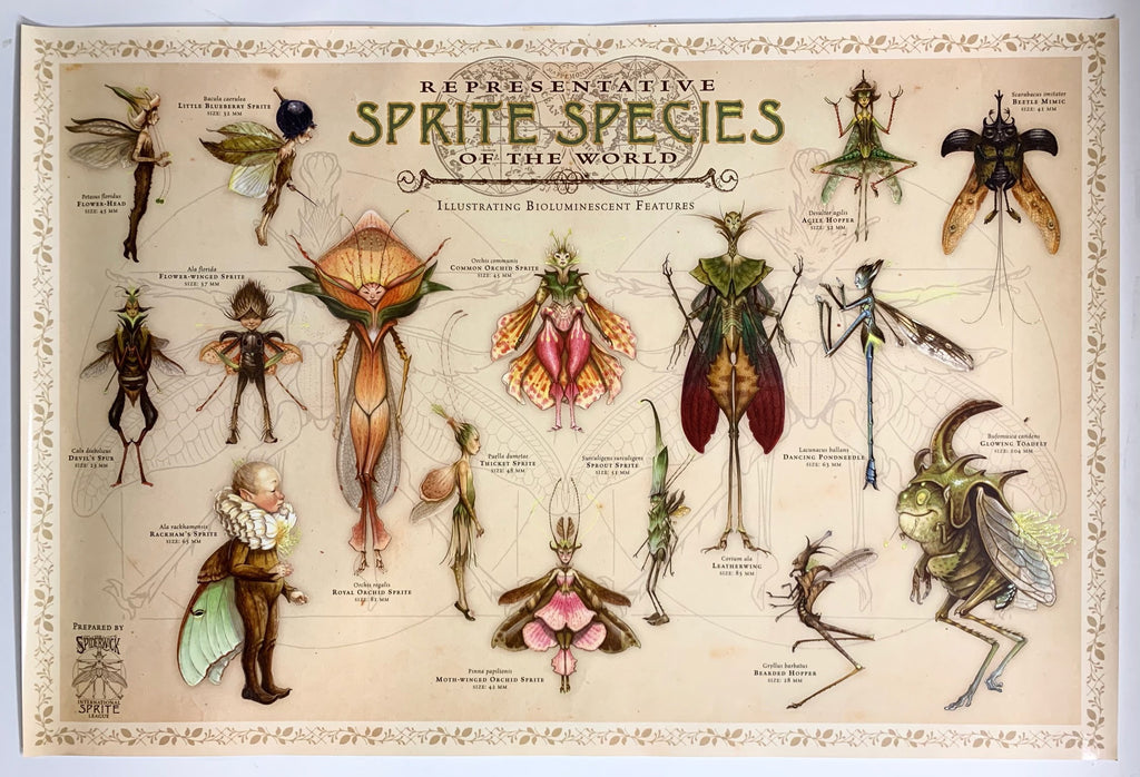 Representative Sprite Species of the World