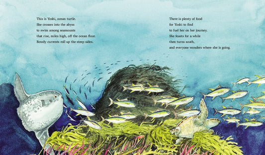 Yoshi and the Ocean: A Sea Turtle's Incredible Journey Home