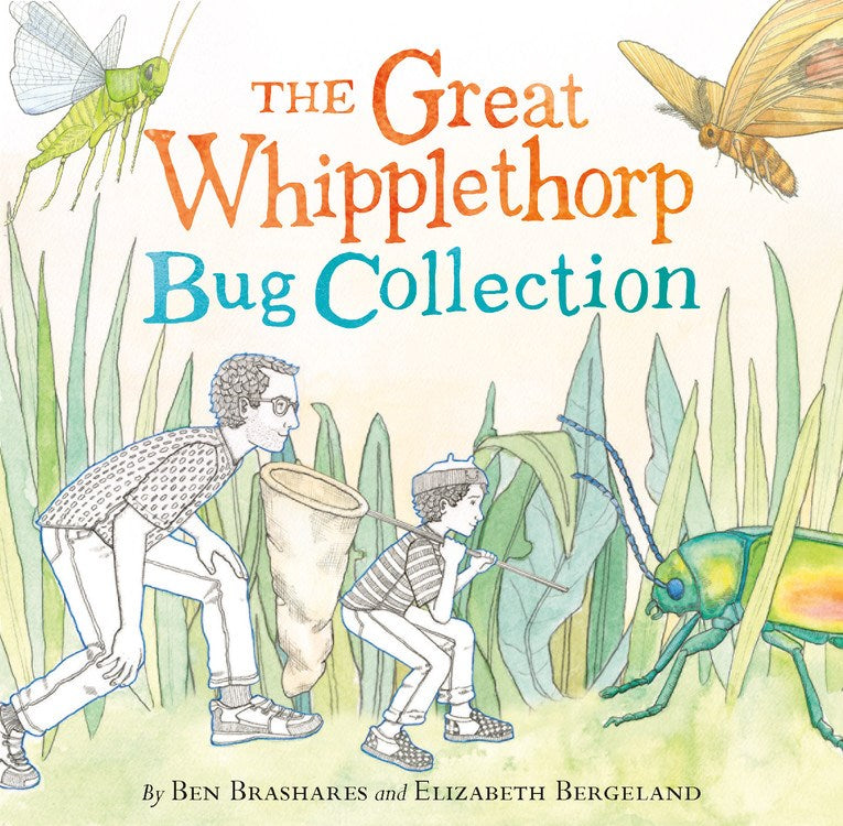 Great Whipplethorp Bug Collection*