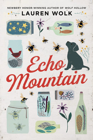 Echo Mountain (Paperback)