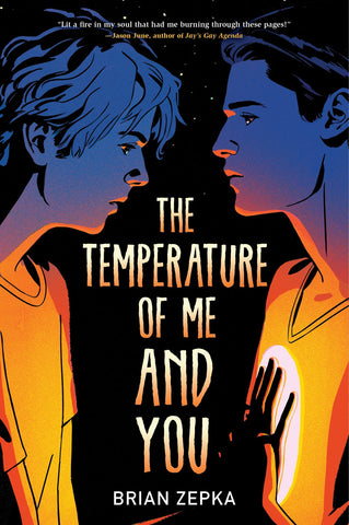 The Temperature of Me and You (Paperback)