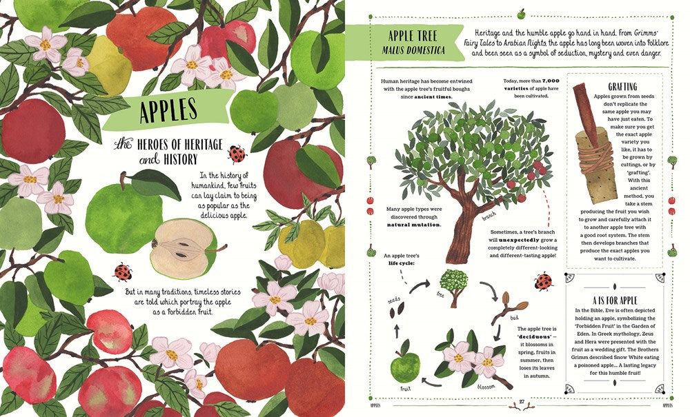 story about seeds growing into plants Grow : A Family Guide to Plants and How to Grow Them