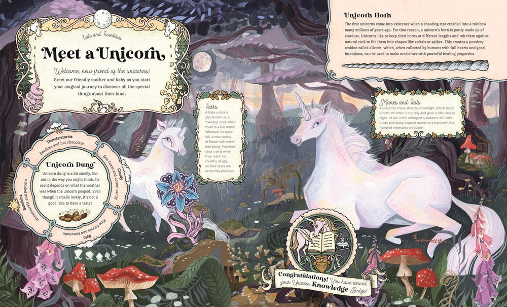 The Secret Unicorn Club - Arena Illustration