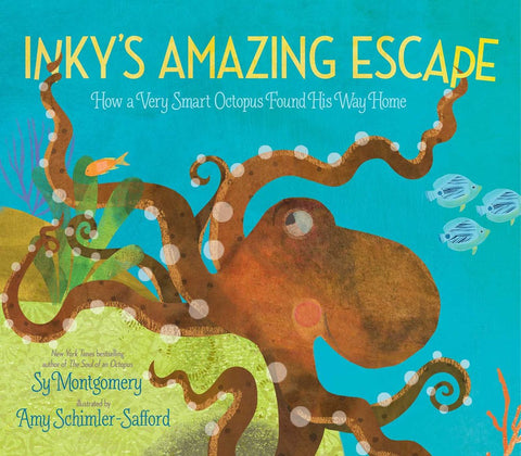 Inky's Amazing Escape : How a Very Smart Octopus Found His Way Home