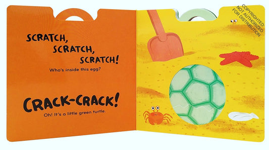 A turtle hatches