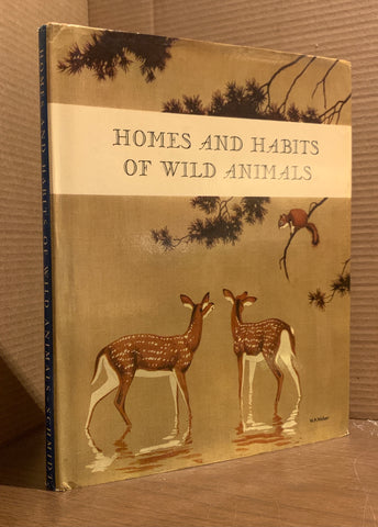 Homes and Habits of Wild Animals