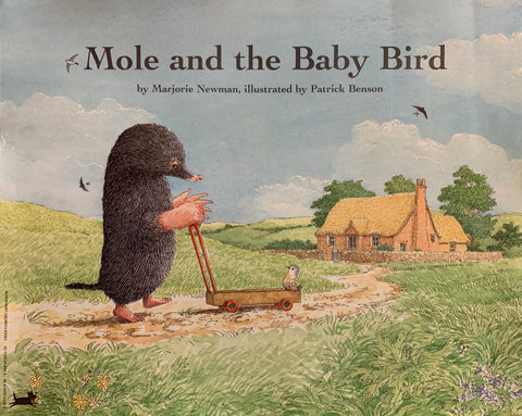 Mole and the Baby Bird