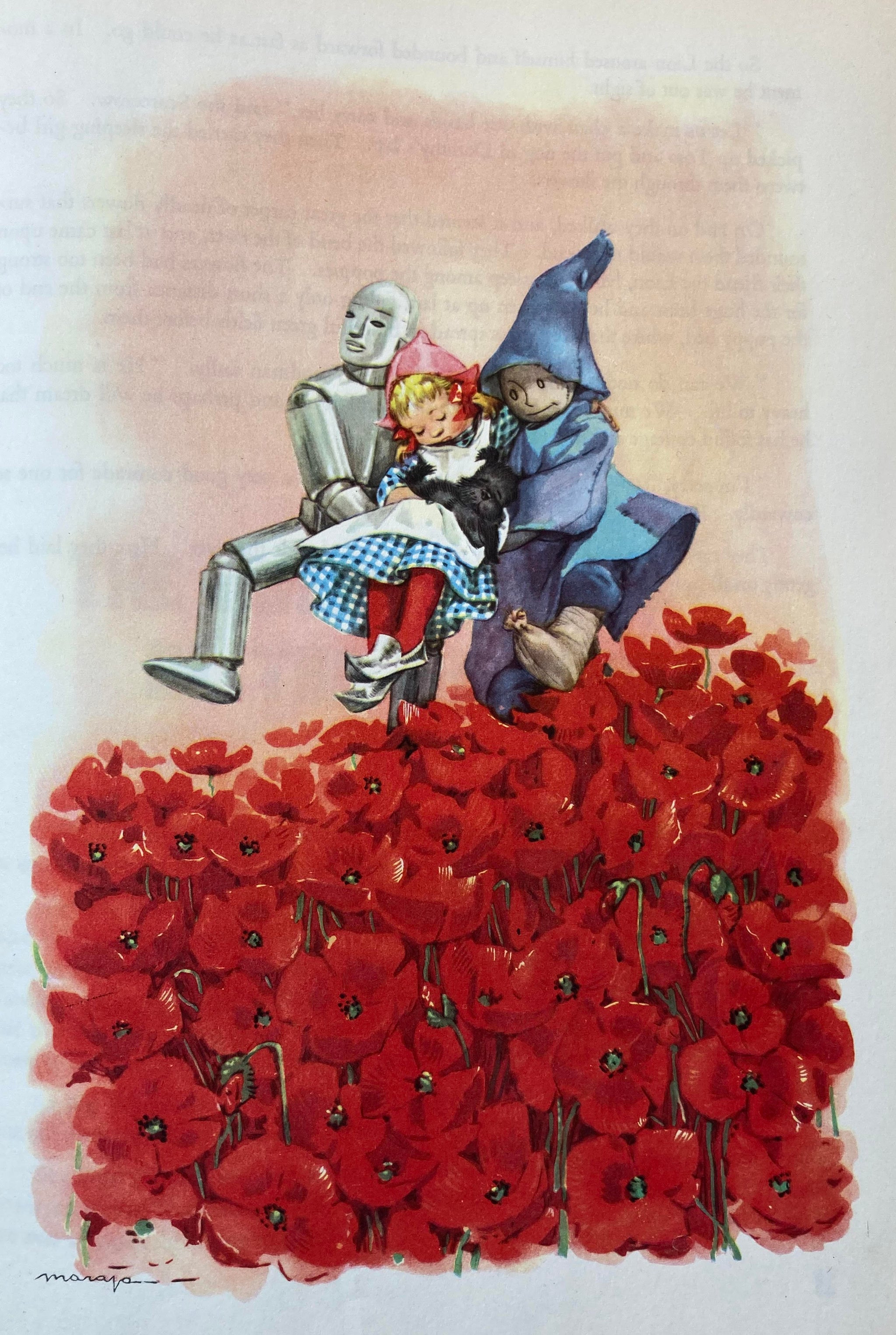 wizard of oz poppies illustration
