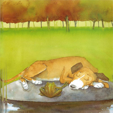 Frog and Dog Sleeping