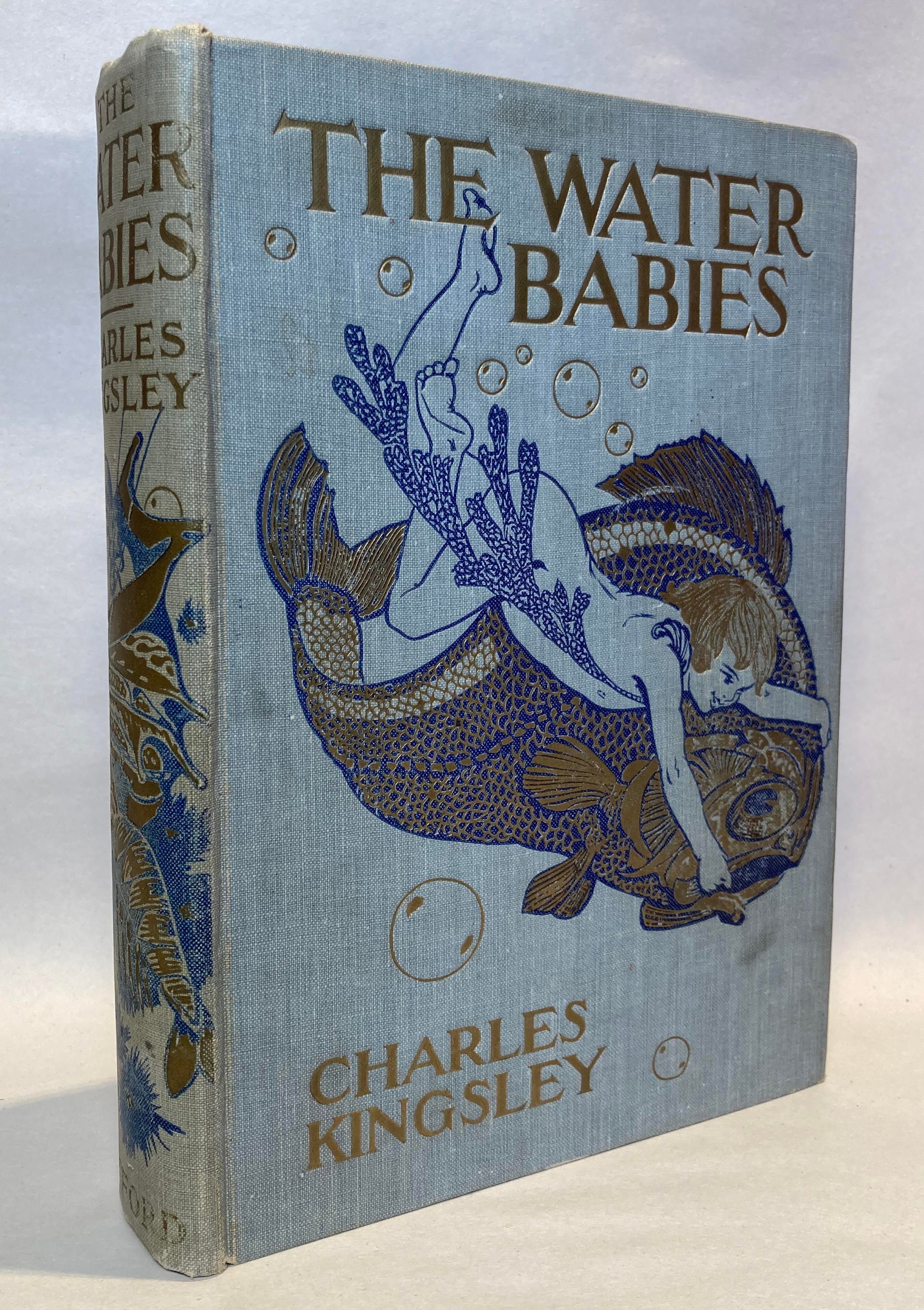 The Water Babies Kingsley the-water-babies-kingsley